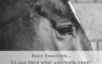 Basic Essentials For The Horse Rider
